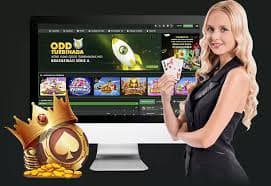 Sports betting results and platform activity on juan 365 app